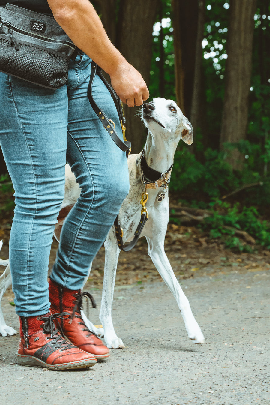 Pochette d'entrainement canin pour donner les gateries au chien