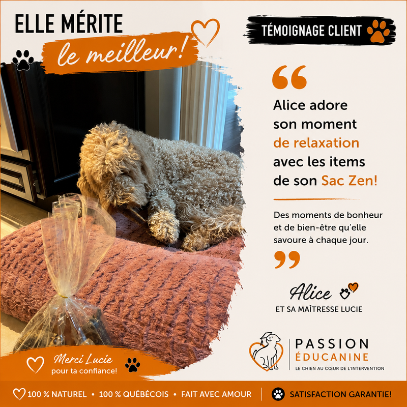 Client Testimonial