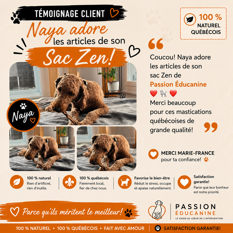 Client Testimonial