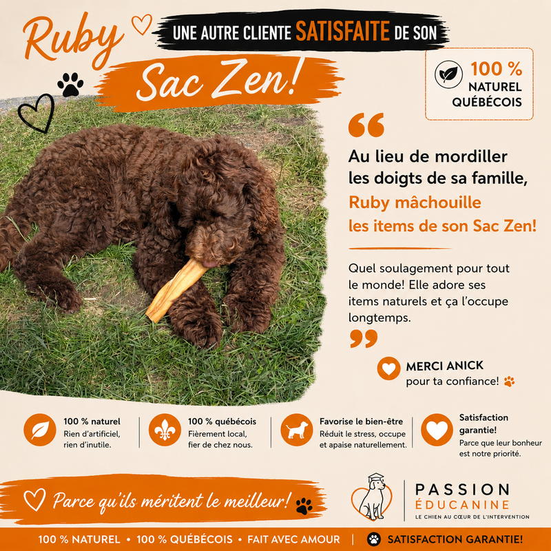 Client Testimonial