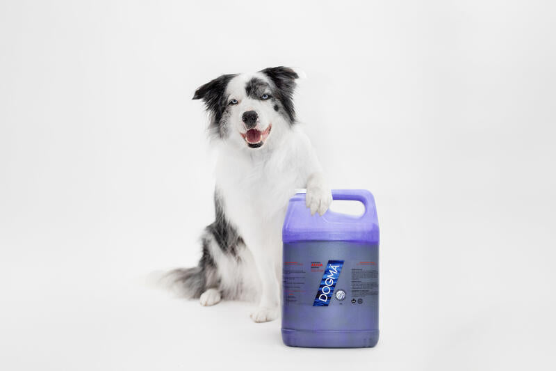Produits de toilettage DOGMA